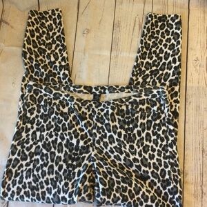 HUE Animal  Print Pull On 4 Pocket Pants Strechy Size XL